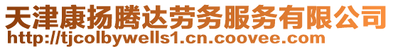 天津康揚(yáng)騰達(dá)勞務(wù)服務(wù)有限公司