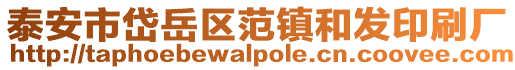 泰安市岱岳區范鎮和發印刷廠