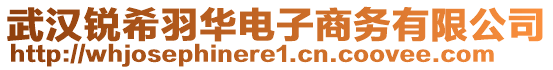 武漢銳希羽華電子商務(wù)有限公司