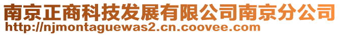 南京正商科技發展有限公司南京分公司