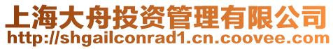 上海大舟投資管理有限公司