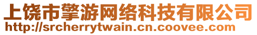 上饒市擎游網(wǎng)絡(luò)科技有限公司