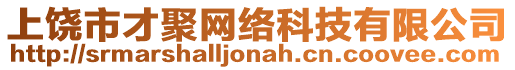 上饒市才聚網(wǎng)絡(luò)科技有限公司