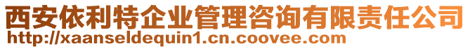 西安依利特企業(yè)管理咨詢有限責(zé)任公司