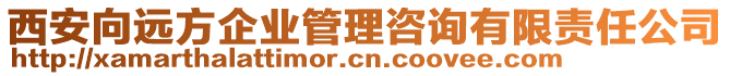 西安向遠(yuǎn)方企業(yè)管理咨詢有限責(zé)任公司