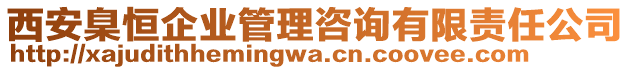 西安臬恒企業(yè)管理咨詢有限責任公司