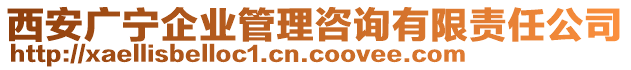 西安廣寧企業(yè)管理咨詢有限責(zé)任公司