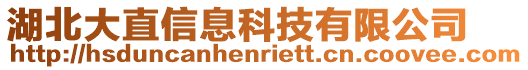 湖北大直信息科技有限公司