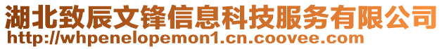 湖北致辰文鋒信息科技服務(wù)有限公司