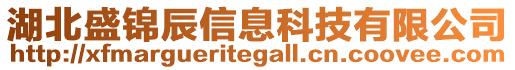 湖北盛錦辰信息科技有限公司