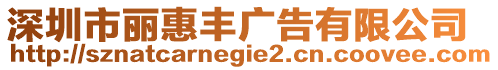 深圳市麗惠豐廣告有限公司