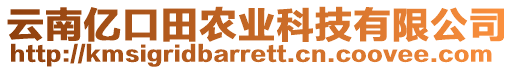 云南億口田農(nóng)業(yè)科技有限公司