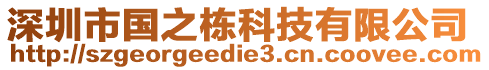 深圳市國之棟科技有限公司