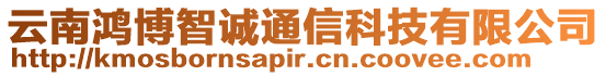 云南鴻博智誠通信科技有限公司