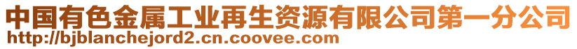 中國有色金屬工業(yè)再生資源有限公司第一分公司