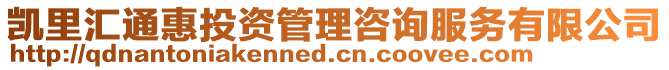 凱里匯通惠投資管理咨詢服務有限公司