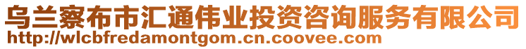 烏蘭察布市匯通偉業(yè)投資咨詢服務(wù)有限公司