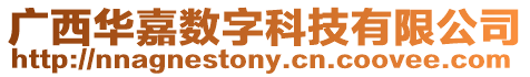 廣西華嘉數字科技有限公司