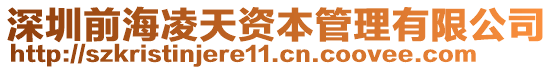 深圳前海凌天資本管理有限公司