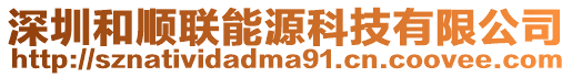 深圳和順聯(lián)能源科技有限公司