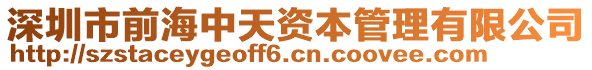 深圳市前海中天資本管理有限公司