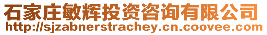 石家莊敏輝投資咨詢有限公司