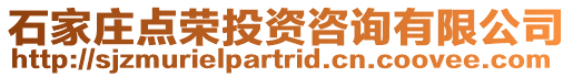 石家莊點榮投資咨詢有限公司