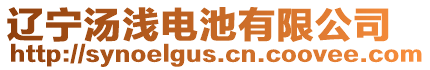 遼寧湯淺電池有限公司