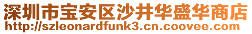 深圳市寶安區沙井華盛華商店