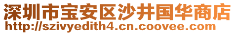 深圳市寶安區(qū)沙井國華商店