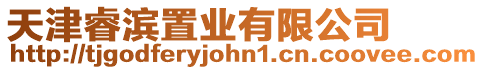 天津睿濱置業有限公司
