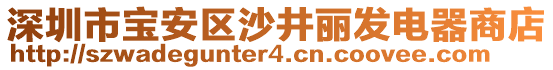 深圳市寶安區沙井麗發電器商店