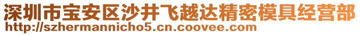 深圳市寶安區(qū)沙井飛越達精密模具經營部