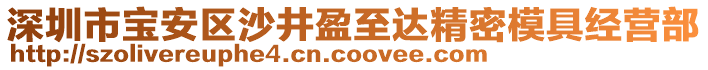深圳市寶安區(qū)沙井盈至達(dá)精密模具經(jīng)營部