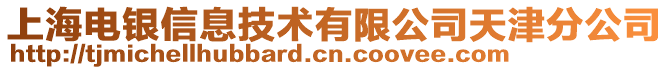 上海電銀信息技術有限公司天津分公司