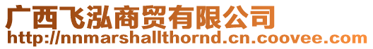 廣西飛泓商貿(mào)有限公司