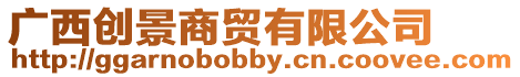 廣西創(chuàng)景商貿(mào)有限公司