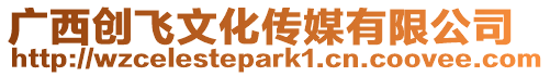廣西創飛文化傳媒有限公司