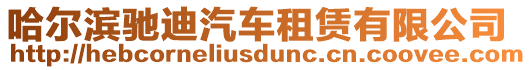 哈爾濱馳迪汽車租賃有限公司