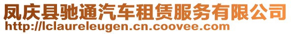 鳳慶縣馳通汽車租賃服務有限公司