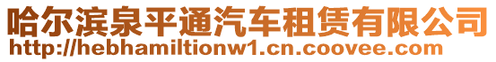 哈爾濱泉平通汽車租賃有限公司