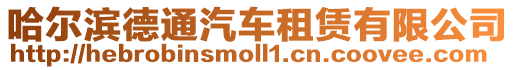 哈爾濱德通汽車租賃有限公司