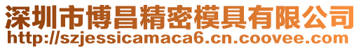 深圳市博昌精密模具有限公司