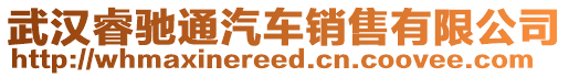 武漢睿馳通汽車銷售有限公司