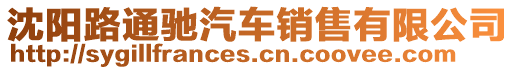 沈陽路通馳汽車銷售有限公司