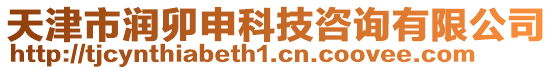 天津市潤卯申科技咨詢有限公司