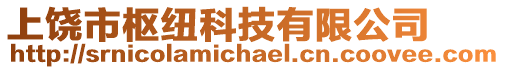 上饒市樞紐科技有限公司