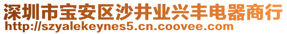 深圳市寶安區(qū)沙井業(yè)興豐電器商行