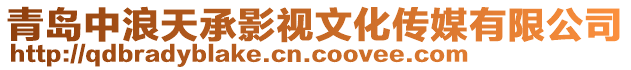 青島中浪天承影視文化傳媒有限公司