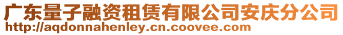 廣東量子融資租賃有限公司安慶分公司